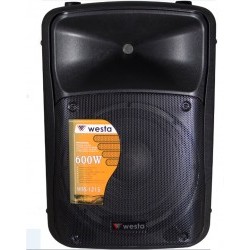 12 inç 30cm 2 Yollu Max. 600 Watt Pasif Kabin Hoparlör