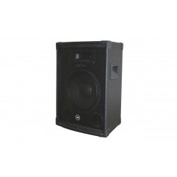 15 inç 38cm 2 Yollu Max.1000 Watt Pasif Kabin Hoparlör